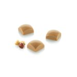 Moule chocolat Domus 01-P Silikomart